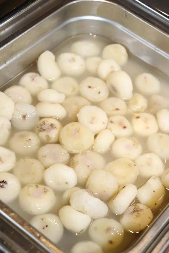 试菜实拍马蹄,水煮做法保留原汁原味