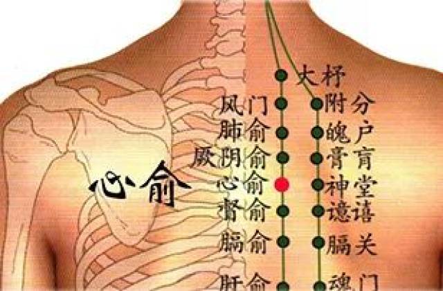 最简单找心俞,心位置,心艾灸