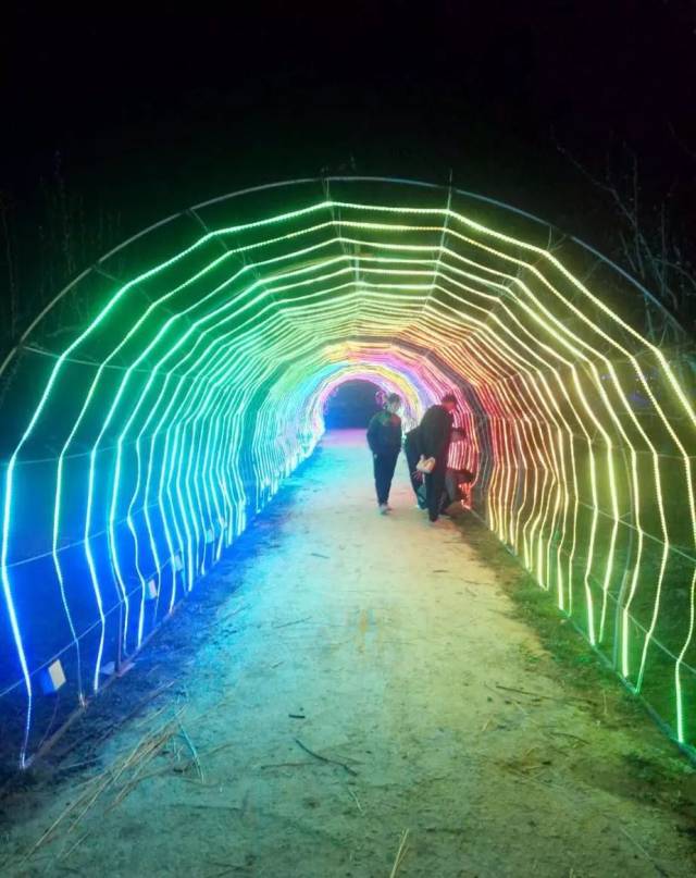 喜迎端午,林拥城-奇幻部落灯光节今晚闪亮登场