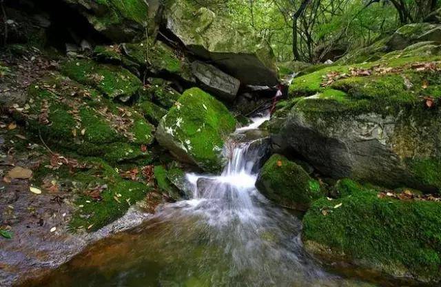 西安秦岭沣峪口 这汪潭水正清凉,避暑约起!