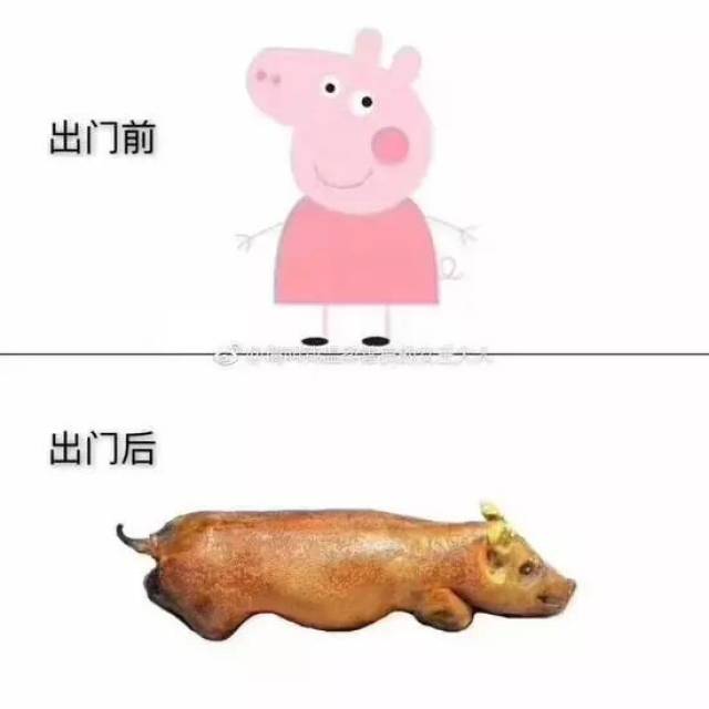 搞笑频道-手机搜狐