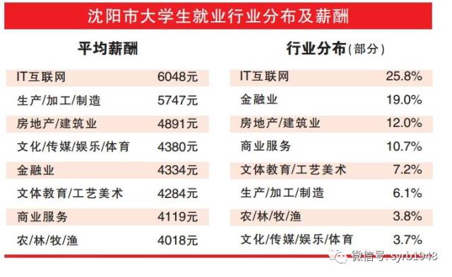 数字时代的科技力量——壹只兔网络科技引领行业变革