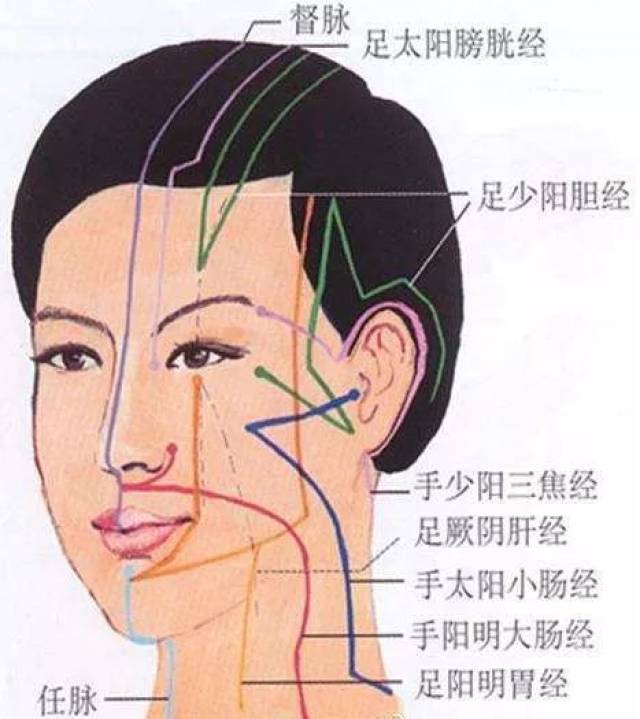 2, 助消化:脸的正面有足阳明胃经通过,经常搓有助于该经(在此段)保持
