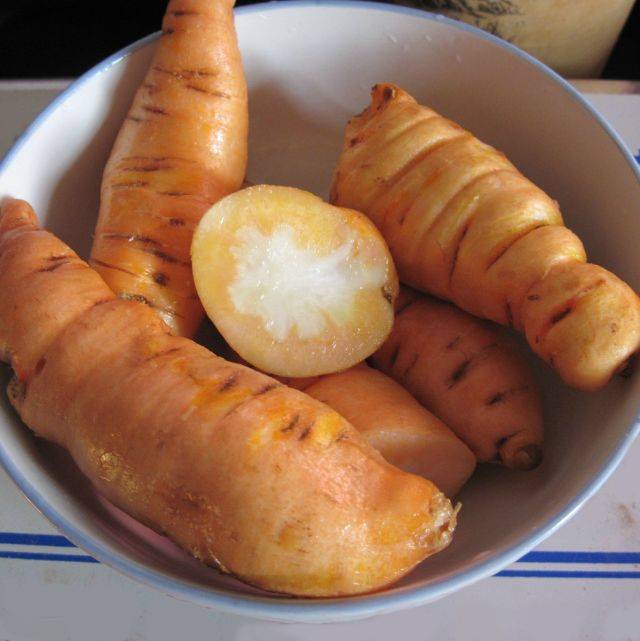 日常生活中,我们常见的地黄有三种: 鲜地黄, 生地黄, 熟地黄.