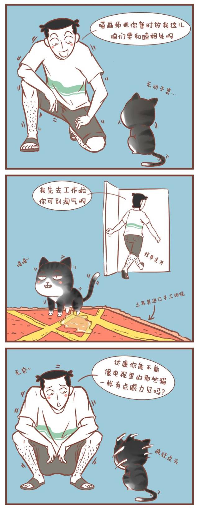 朋友把猫放我家寄养,第一天我就后悔了