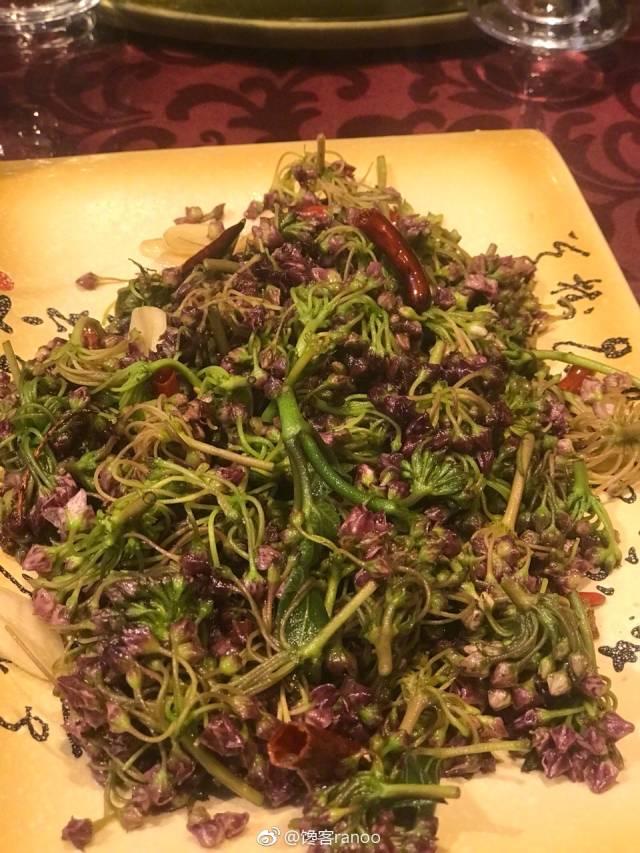 蒜香奶浆花,微苦清炒的小野菜,这个季节可以吃一些!