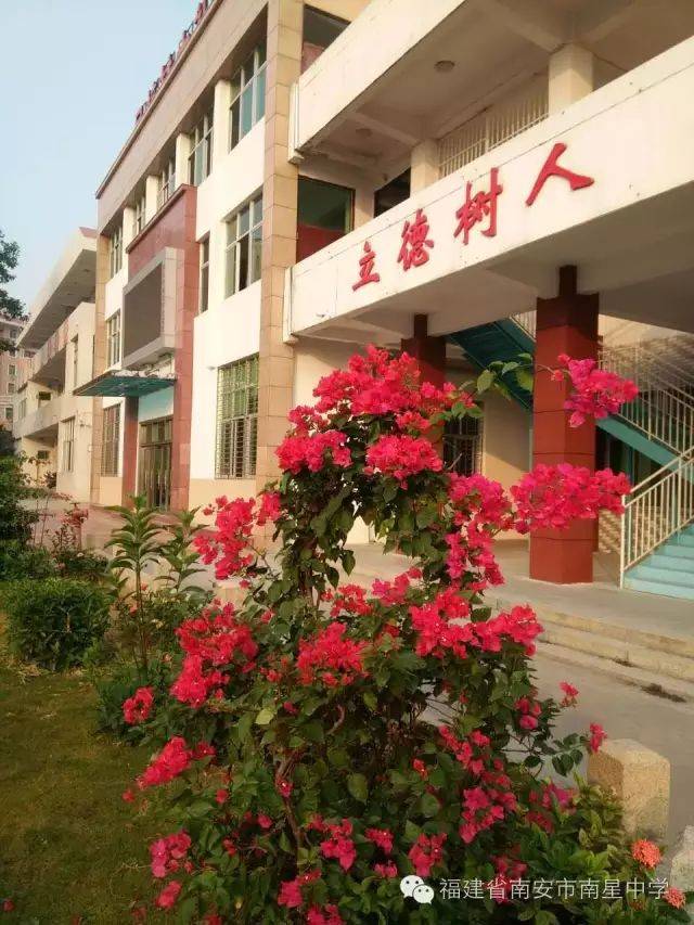 南星中学高一年招生公告发布,今年招收360名学生!