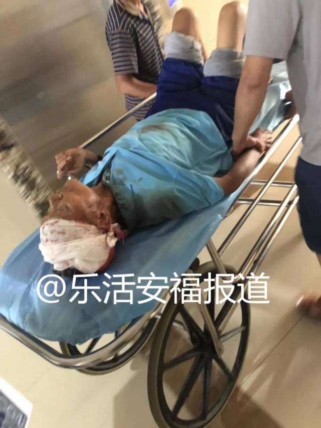 安福一車主肇事逃逸,80歲老人倒在地上.