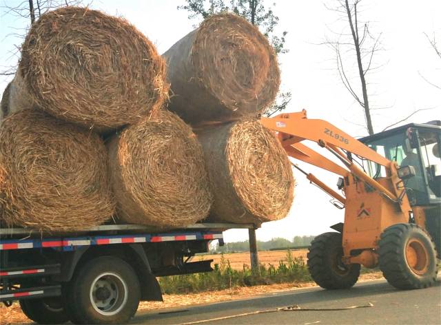 在郯城县马头镇马南社区湖片,收割下的数千亩麦草秸秆被一一打捆整装