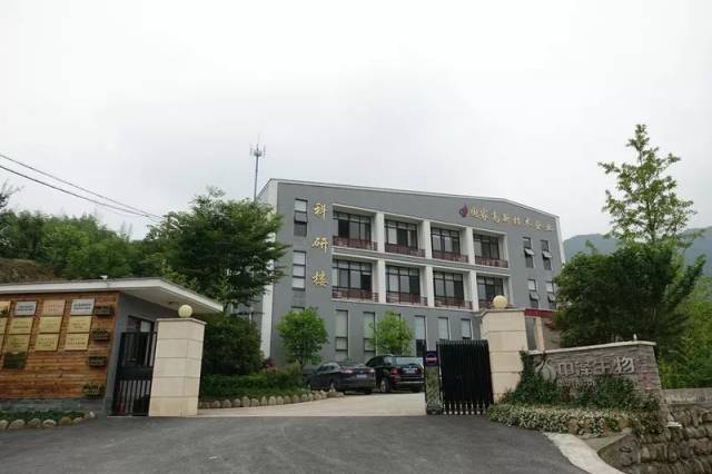 探寻养生奥秘：临安中医文化的魅力