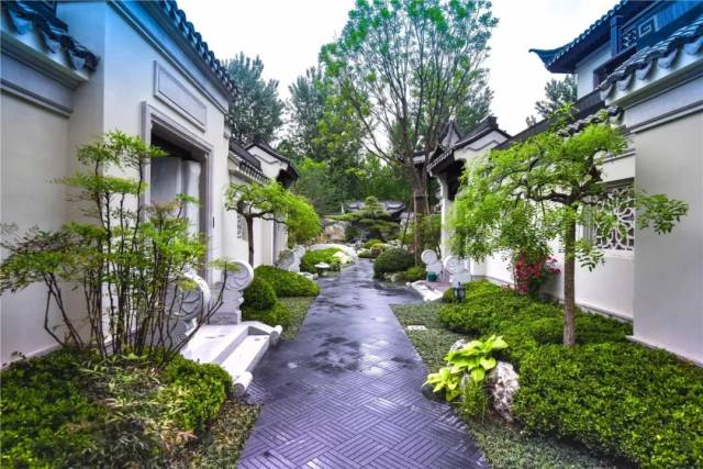 中国最美私人院子图片