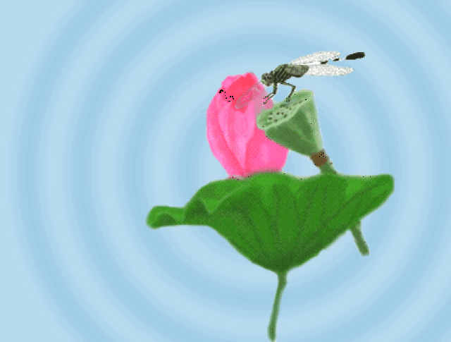 一只蜻蜓轻点水, 夏风柳荫曳鸣蝉.