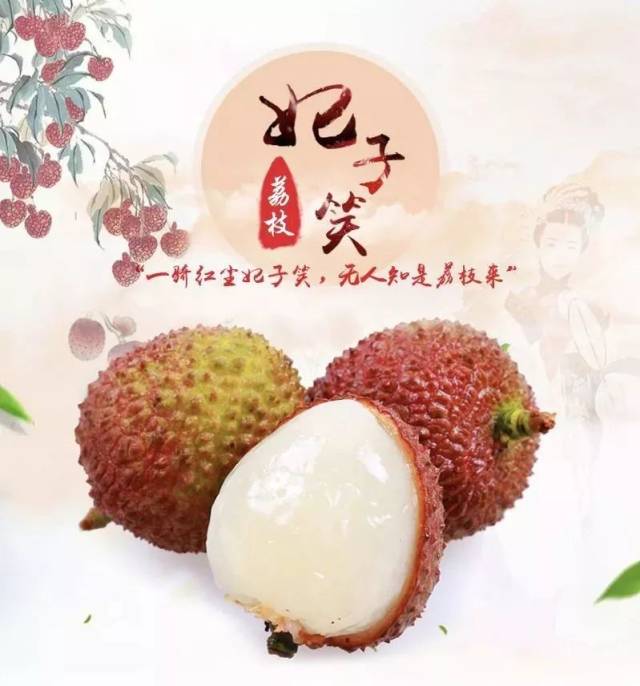 据说当年杨贵妃喜好荔枝 唐玄宗便快马加鞭为其运送荔枝 只为博得美人