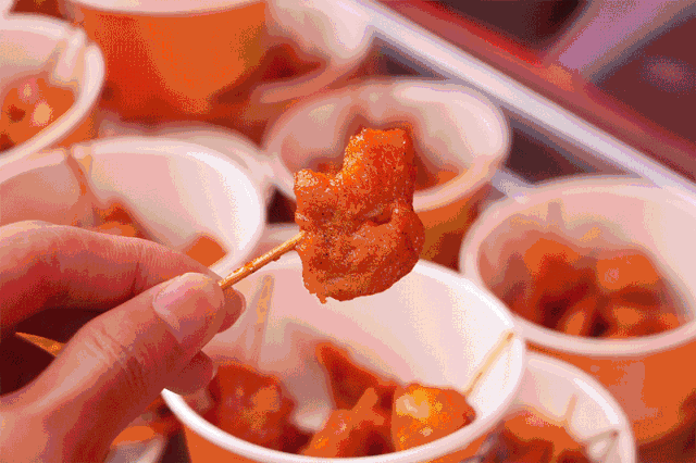 大型寓教于乐的 户外课堂 大肠包小肠,中延杏鲍菇,一口肠,旗鱼黑轮