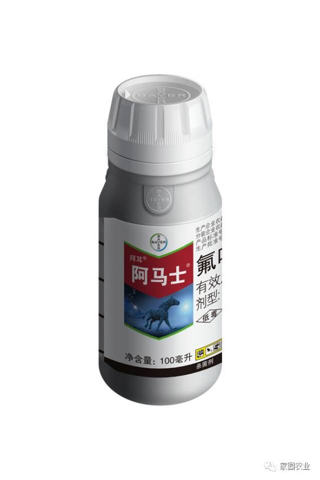 马铃薯病害篇——黑痣病