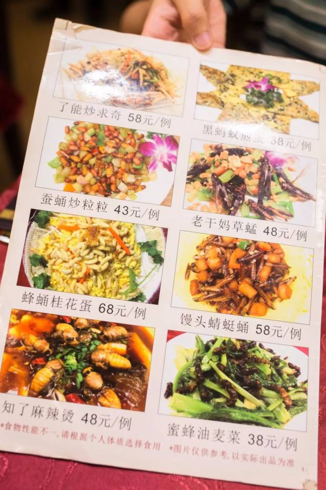 非战斗人员迅速撤离! 我的妈耶, 两大页的菜单上密密麻麻全是虫子!