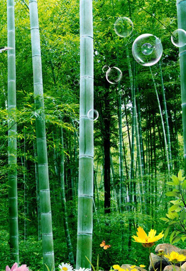 竹林深深护眼手机壁纸送给你,愿你平安吉祥,爱情长久,幸福美满