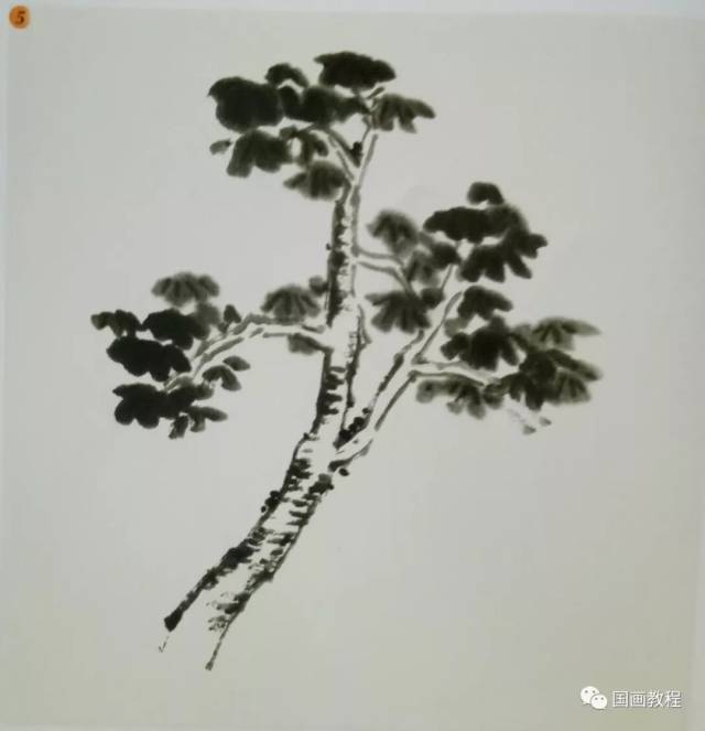 国画画树步骤,画画,画写意树(第3页)_大山谷图库