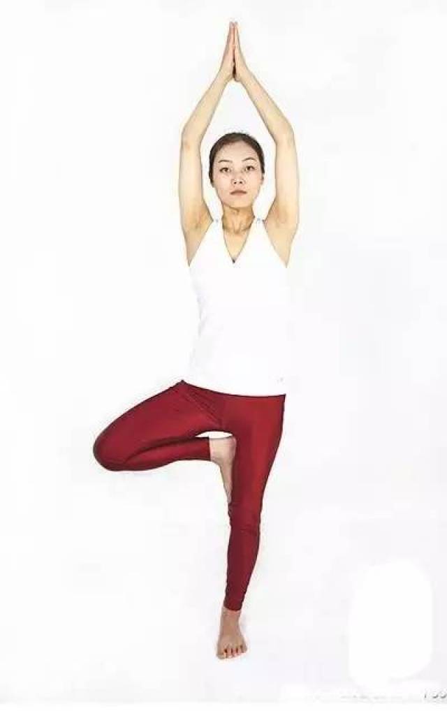 每天树式60秒,给你惊人功效!瑜伽!