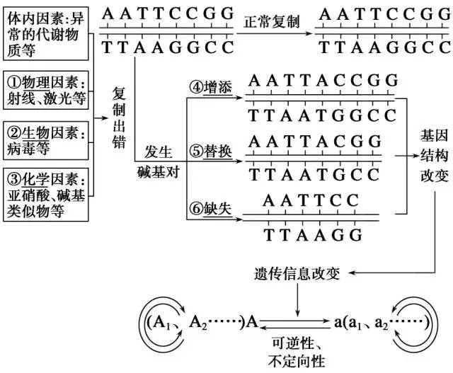 高二生物难点辨析——基因突变,基因重组疑难点辨析