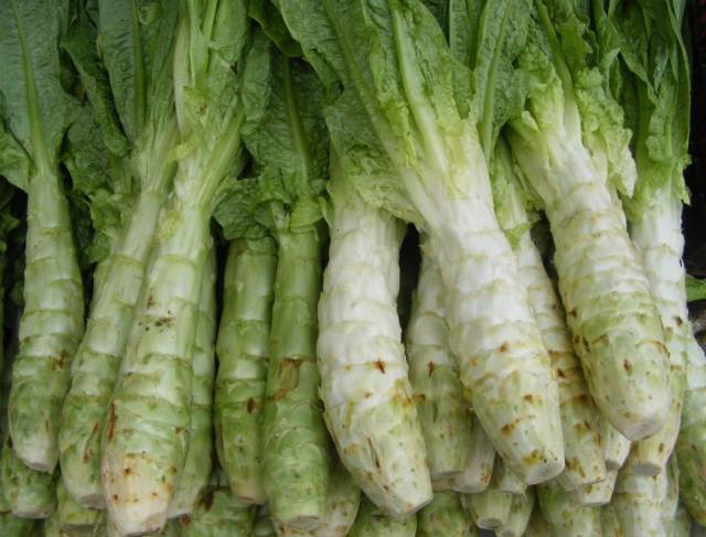 很多人老吃这种菜,都不知道它是"千金菜"!太可惜啦