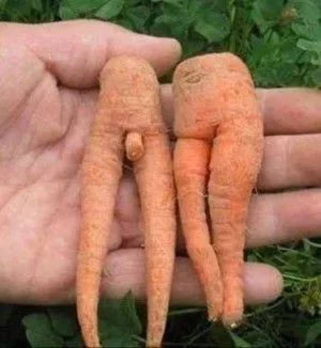 分享一组不可思议照片,保证笑掉你大牙