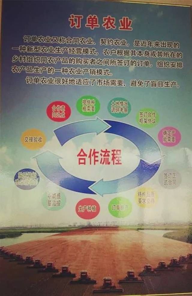 订单农业来啦!