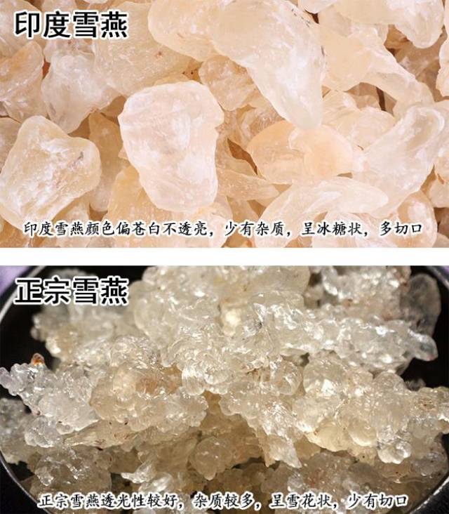 真假雪燕对比的图片图片