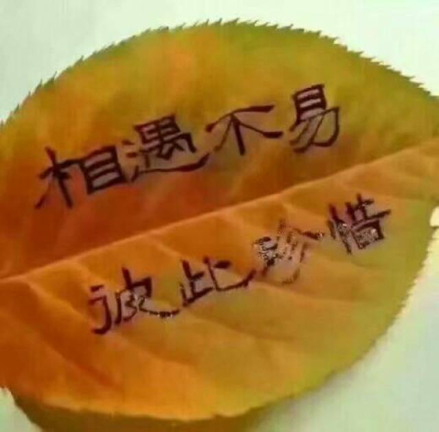 包含天坛医院黄牛代挂服务，挂不上的都找我的词条