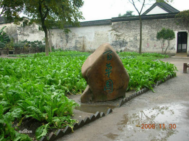 不必說碧綠的菜畦,光滑的石井欄,高大的皂莢樹,紫紅的桑葚;也不必說