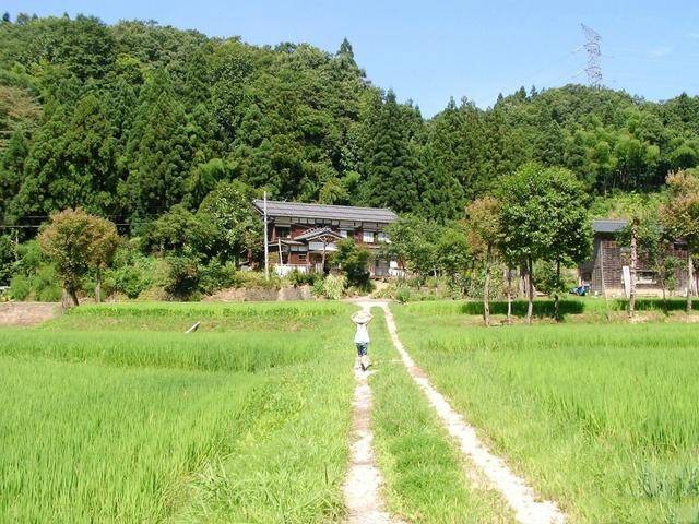 日本第一农村图片