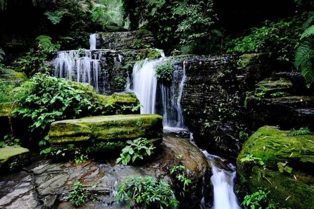 自駕:宜賓-興文-僰王山風景區 蜀南竹海 蜀南竹海,位於宜賓長寧縣,是