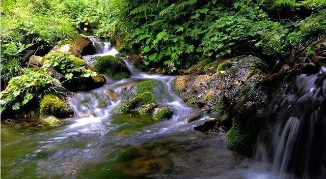 山泉出浴旖旎景,溪水潺潺奏鳴琴.簡直太美了!