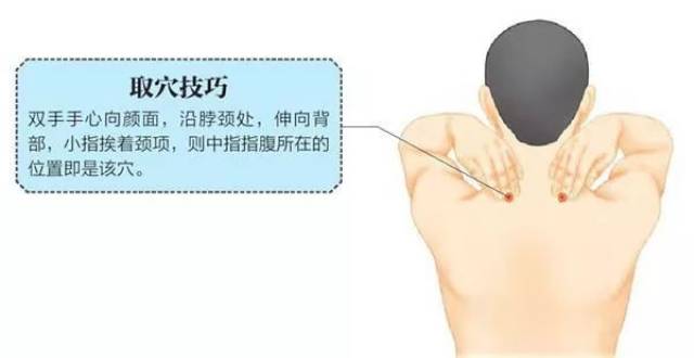 肩中俞,是手太阳小肠经腧穴,具有行气止痛的作用.