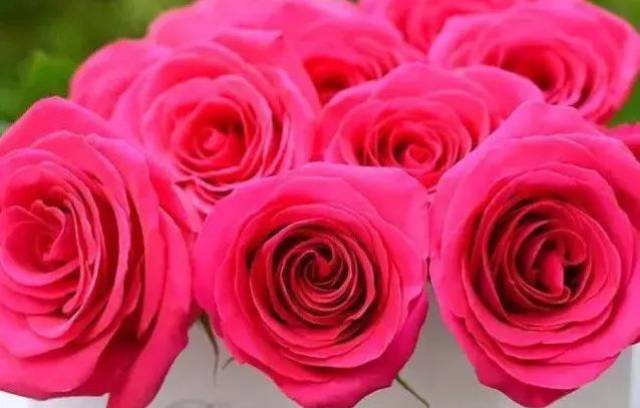 名家唱经典《我爱你中国》谭晶