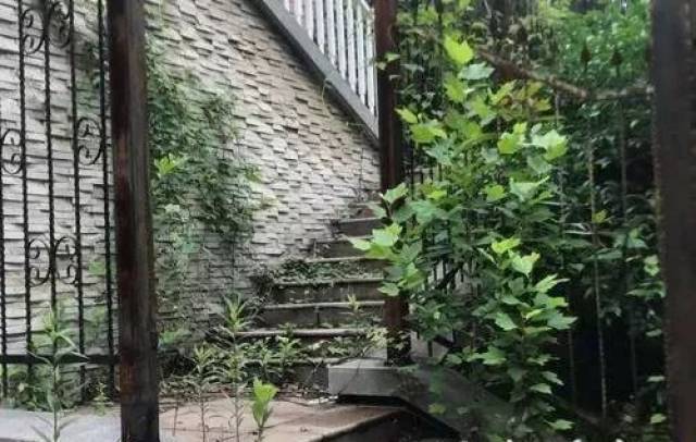 神秘人花786万拍下碎尸案别墅,"凶宅"内景首次曝光
