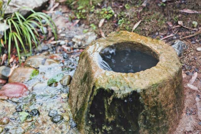 百年老泉眼,感觉喝一口就可以长生不老.