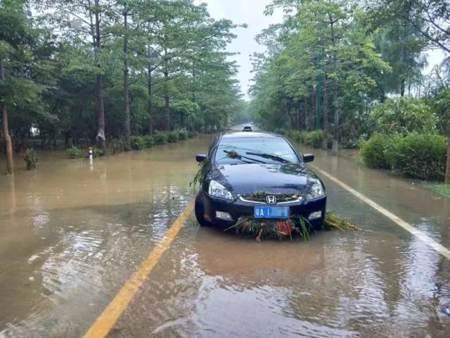 暴雨天涉水开车真的会熄火吗?真相在这里!