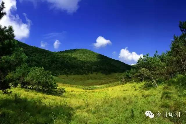 风景秀美羊山草甸