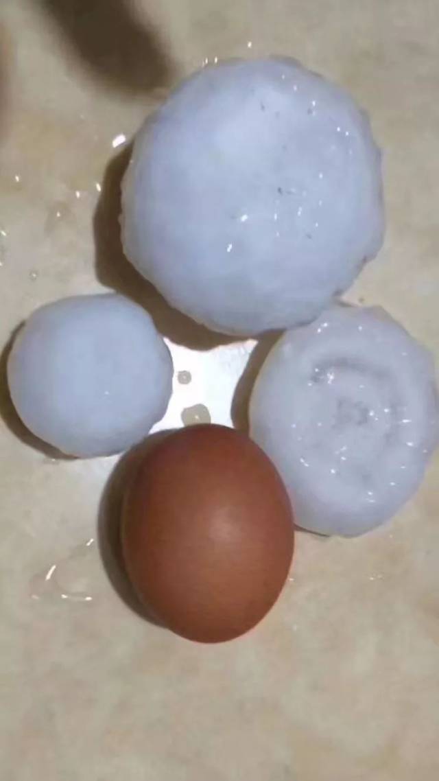鸡蛋大的冰雹图片