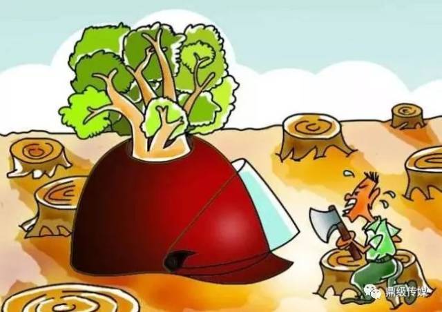 【严执法】鼎城破获两起破坏林业生态环境刑事案件