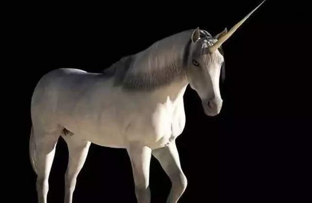 战略配售基金选哪家?关键还看科技股投资研究