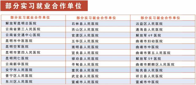 职场新风向：石林地区的求职趋势