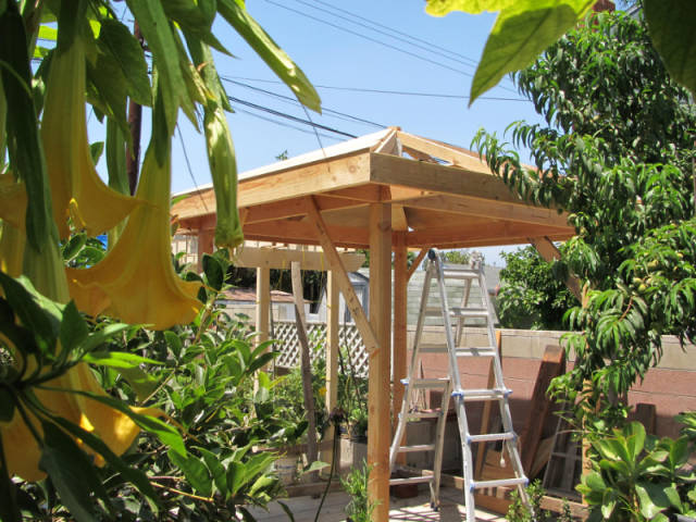 闲不住,diy个庭院凉亭玩玩!网友直呼:这是专业的?