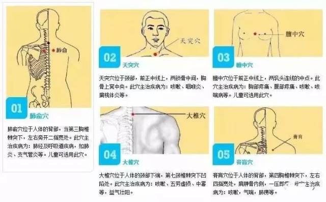 三伏贴的基础知识,手把手教你学习三伏贴(一生受益)建议收藏学习
