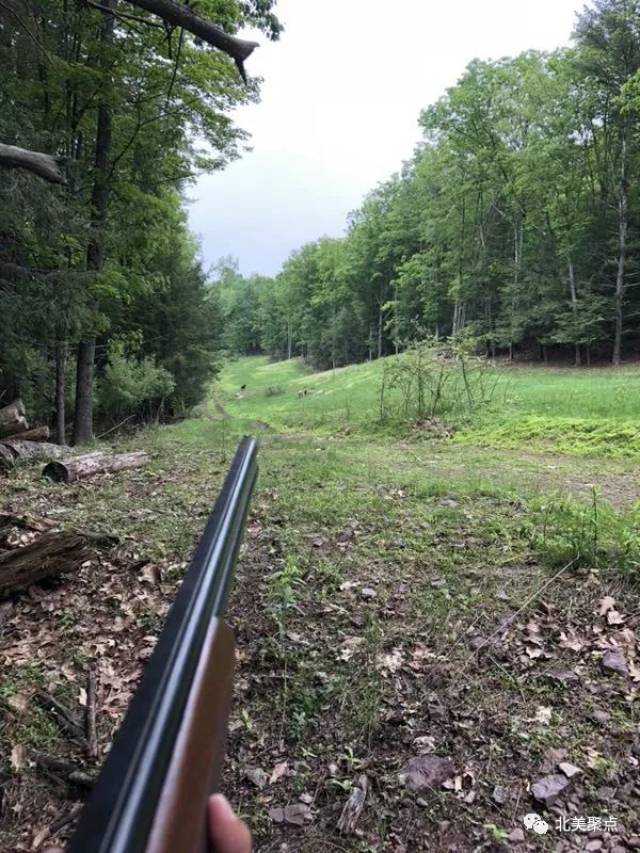 重磅实弹打猎野外现猎现烤射击打飞碟发动你的全地形车还免费赠送走地