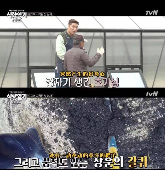 豆瓣9分预定,这么好看的韩综居然没几个人知道