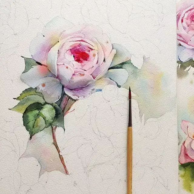 清新唯美的水彩玫瑰花，你一定喜欢，学起来吧!_手机搜狐网