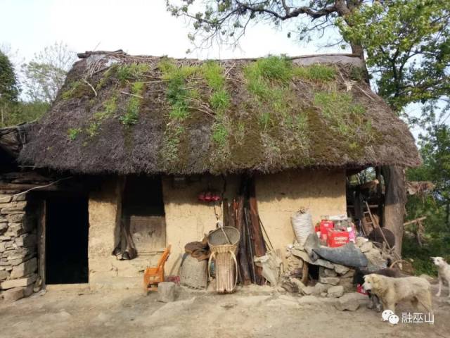 春泉村4社63岁的邓厚秀以前住在半山腰的两间茅草房.