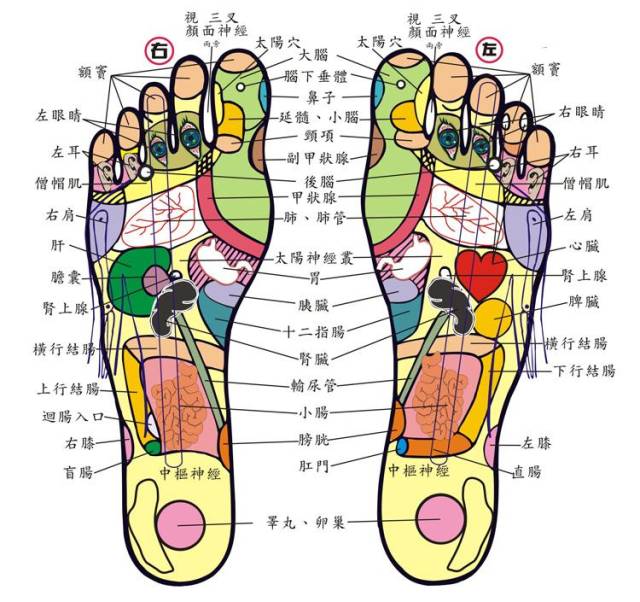 脚是第二心脏人老脚先衰常做这几个动作舒筋活络脚不老